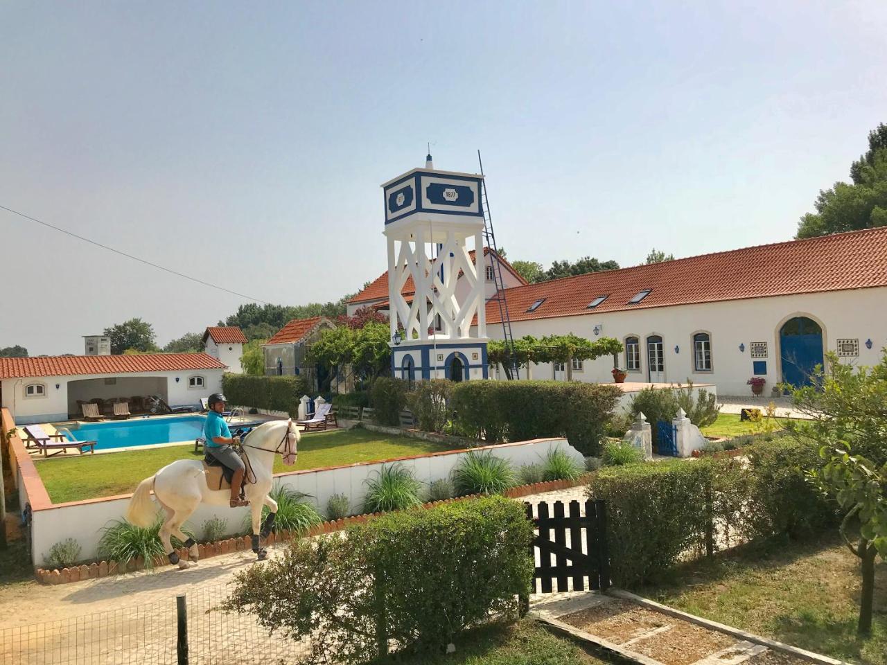 Santarém Marchanta מראה חיצוני תמונה